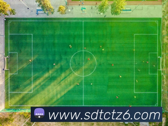 尊龙z6·官网APP 高清赛事图